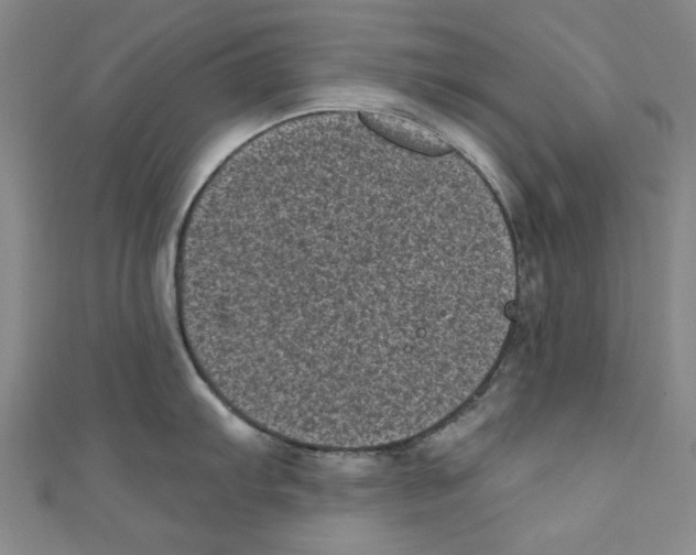 X0000110941103200907171603