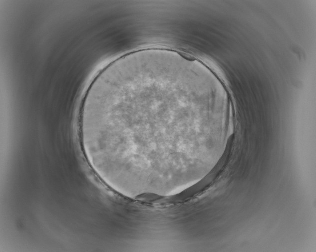 X0000110941104200907171603