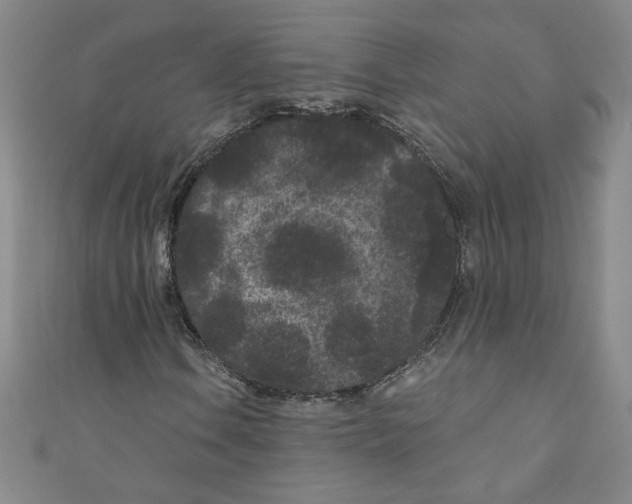 X0000110941106200907171602