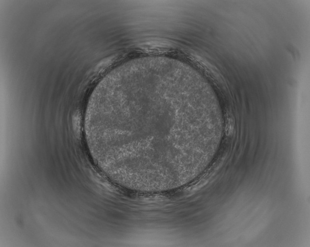 X0000110941108200907171602