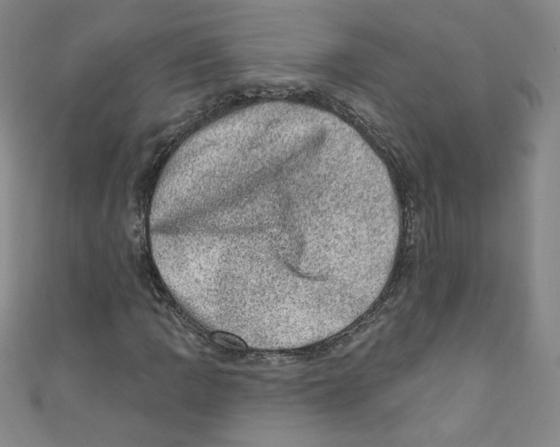X0000110941109200907171602