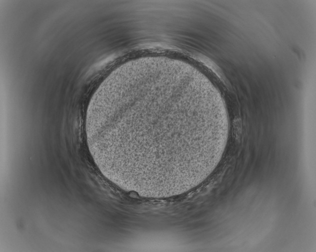 X0000110941111200907171602