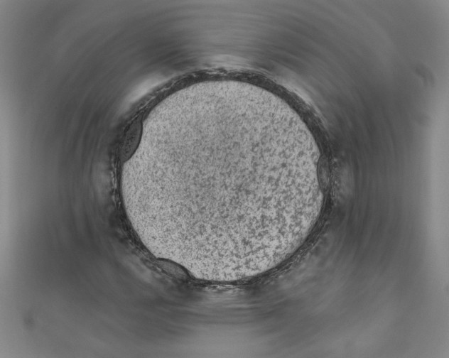 X0000110941112200907171602