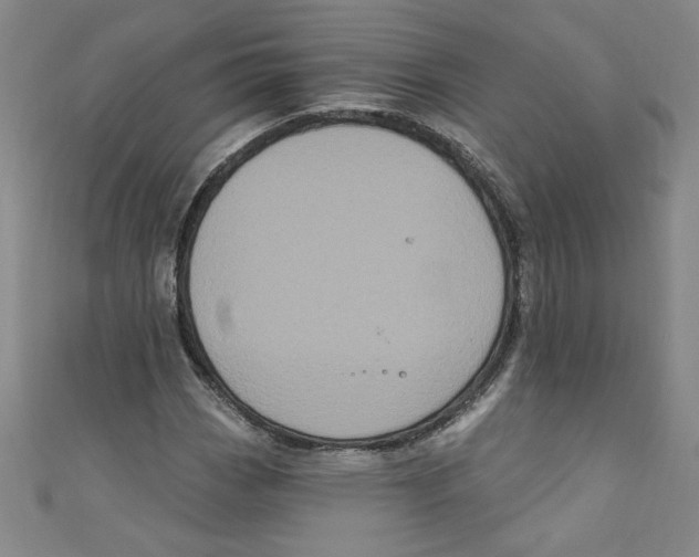 X0000110941113200907171602