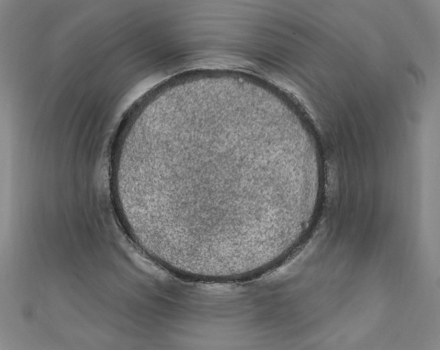 X0000110941114200907171602