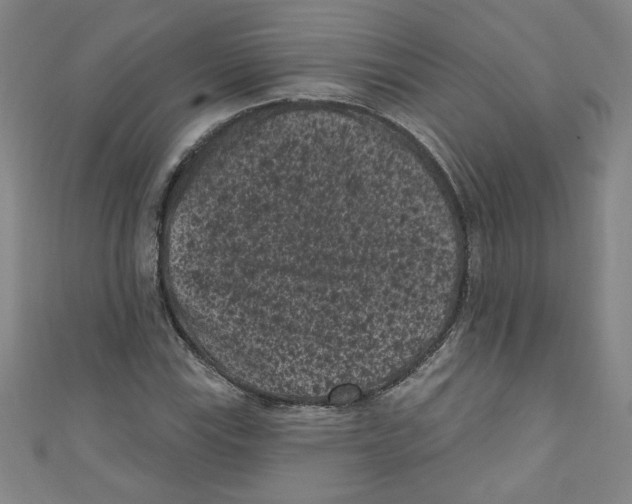 X0000110941115200907171602