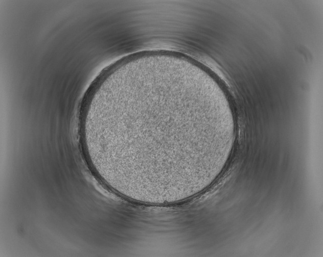 X0000110941116200907171602