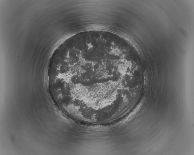 X0000110941117200907171602