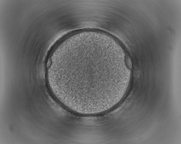 X0000110941118200907171602