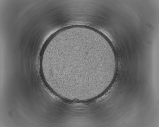 X0000110941119200907171602