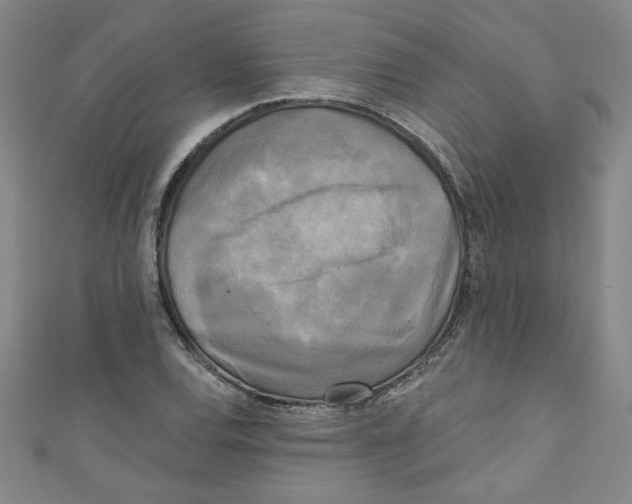 X0000110941120200907171602