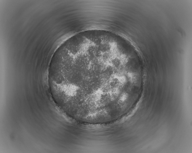 X0000110941121200907171602