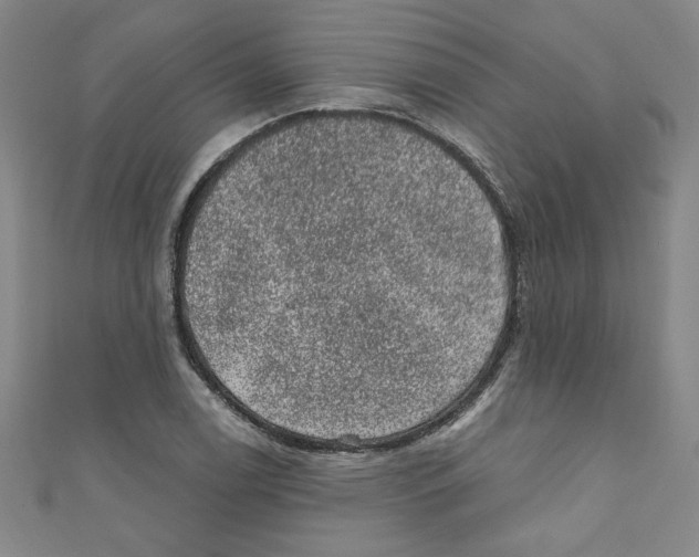 X0000110941122200907171602