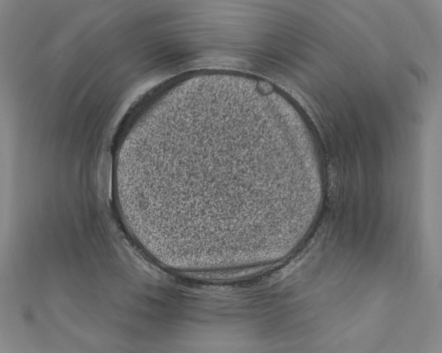X0000110941123200907171602