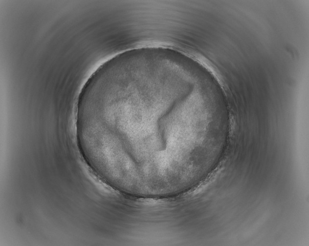 X0000110941124200907171602