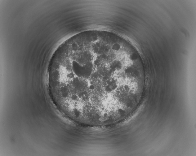 X0000110941125200907171602