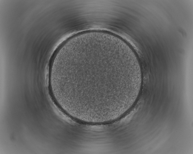 X0000110941126200907171602