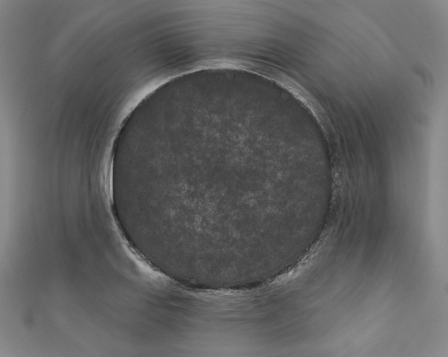 X0000110941127200907171602