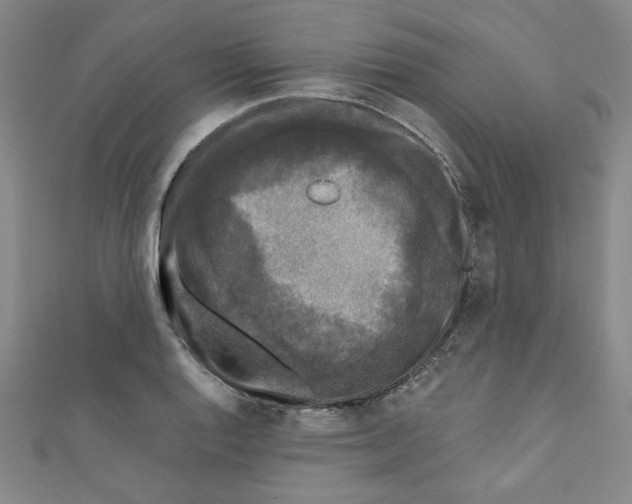 X0000110941128200907171602