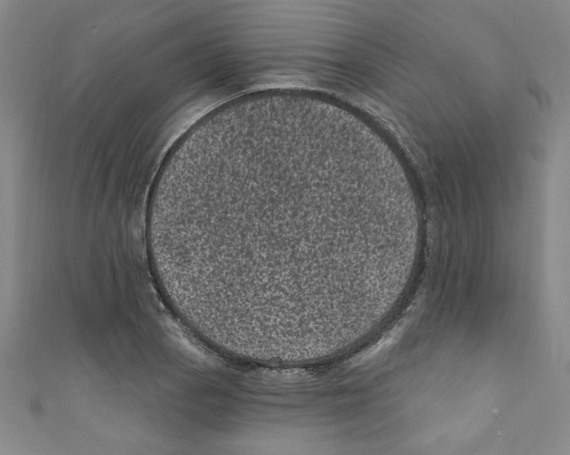 X0000110941129200907171602