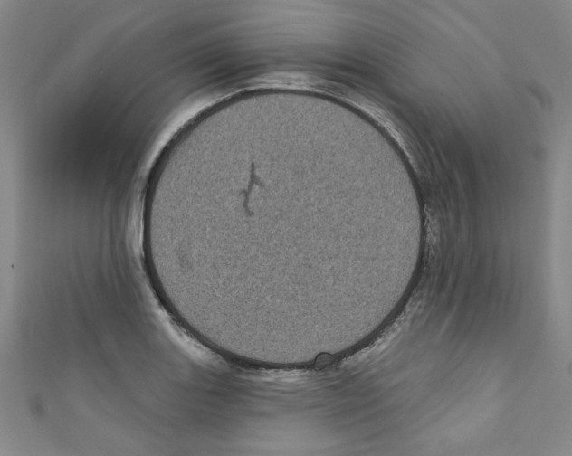 X0000110941131200907171602