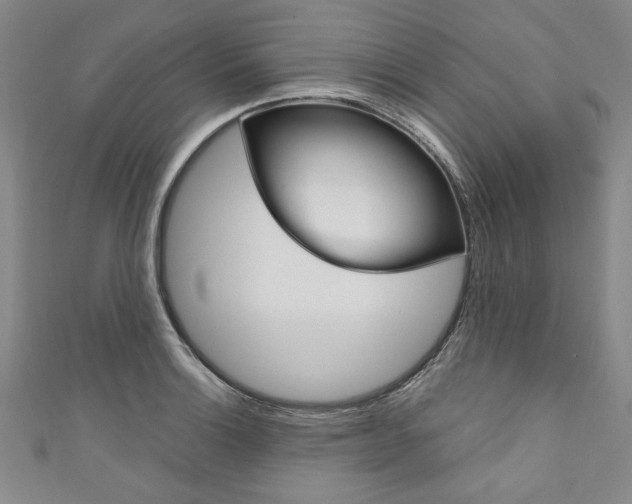 X0000110941132200907171602