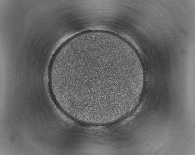 X0000110941133200907171602