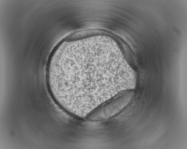 X0000110941134200907171603
