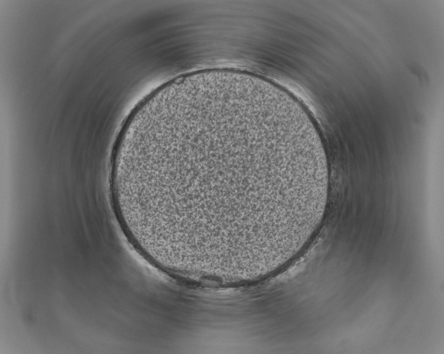 X0000110941135200907171603