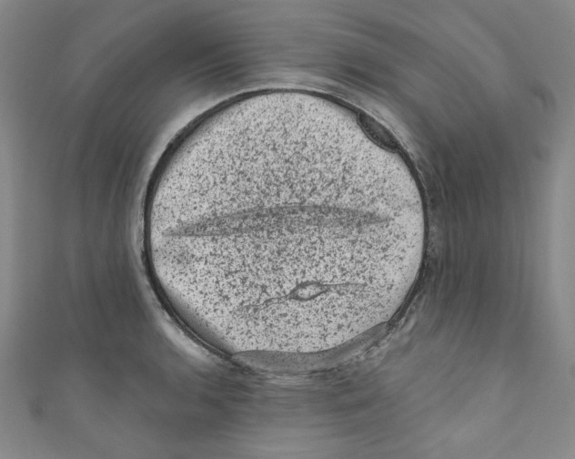 X0000110941136200907171603
