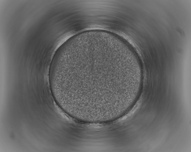 X0000110941137200907171603