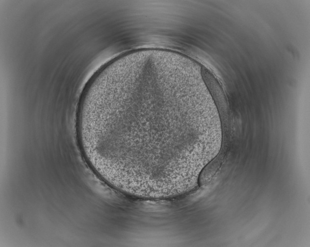 X0000110941138200907171603