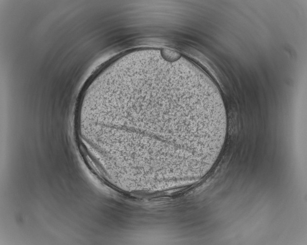 X0000110941139200907171603