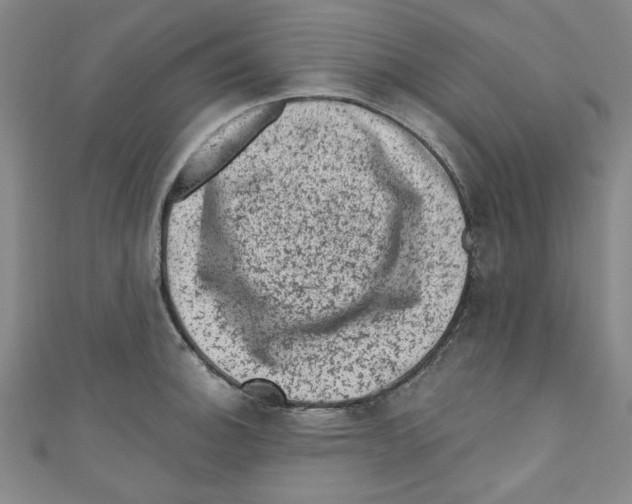 X0000110941140200907171603