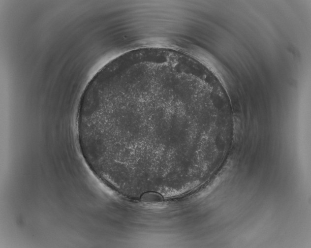 X0000110941141200907171603