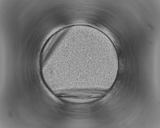 X0000110941142200907171603