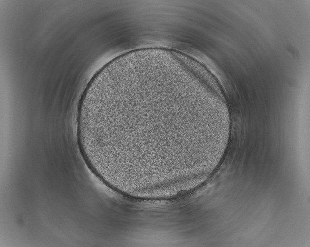 X0000110941143200907171603
