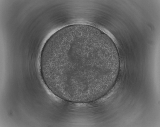 X0000110941144200907171603