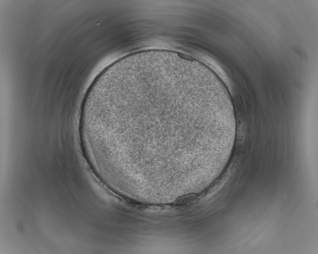 X0000110941146200907171603