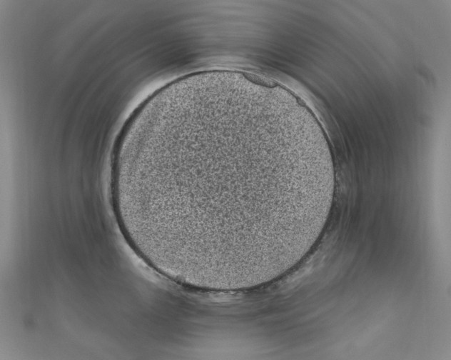 X0000110941147200907171603