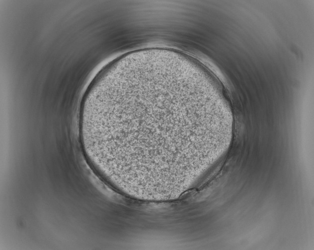 X0000110941148200907171603