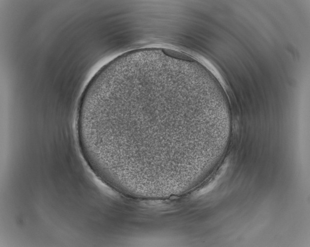 X0000110941149200907171603