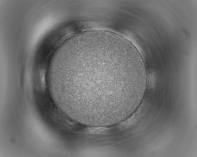 X0000110941150200907171603