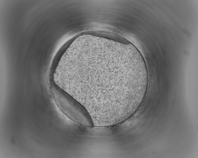 X0000110941152200907171603