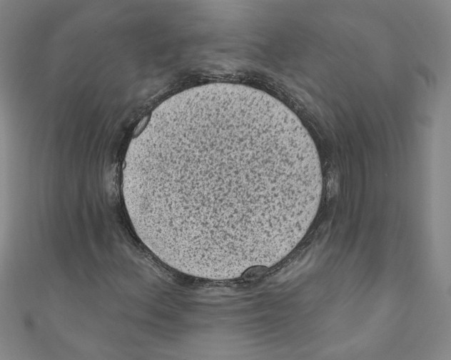 X0000110941156200907171602