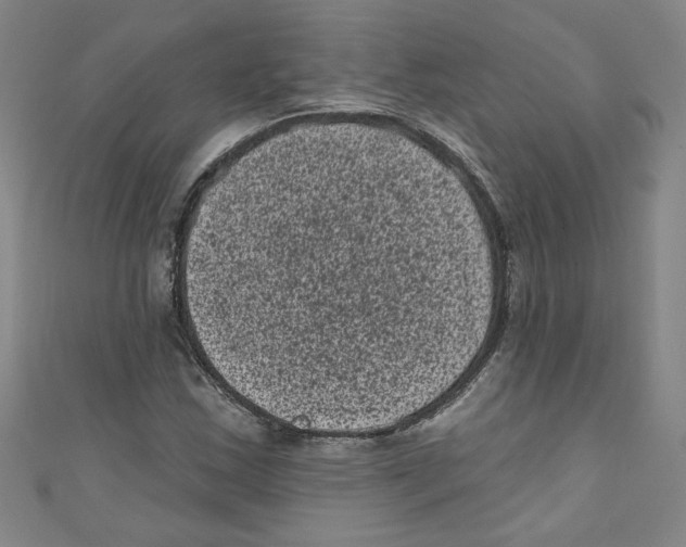 X0000110941163200907171602