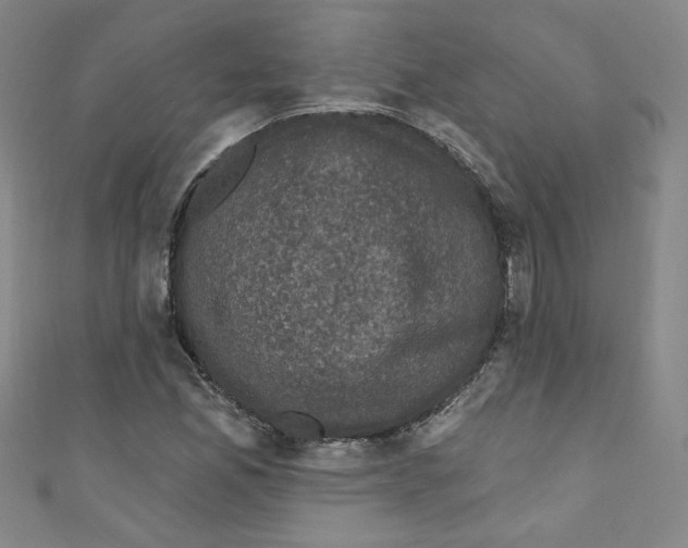 X0000110941165200907171602