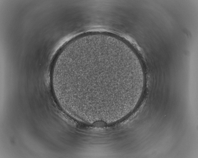 X0000110941167200907171602