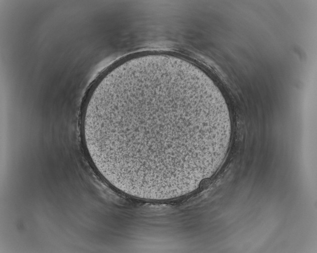X0000110941168200907171602