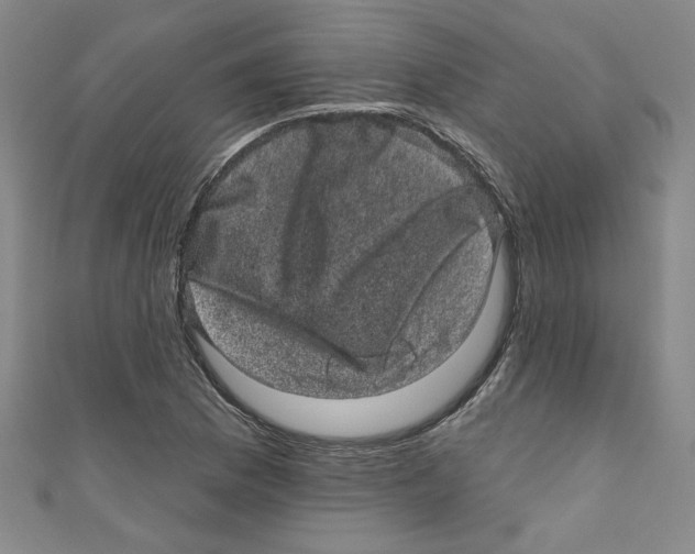 X0000110941169200907171602